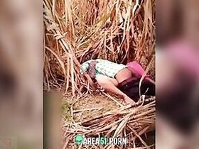Husband caught wife fucking her lover outdoors in the jungle, Desi MMC sex