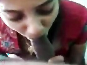 Newlywed bhabhi sucks and copulates with her young roommate