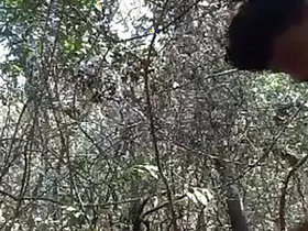 Indian lover fucks in the open air